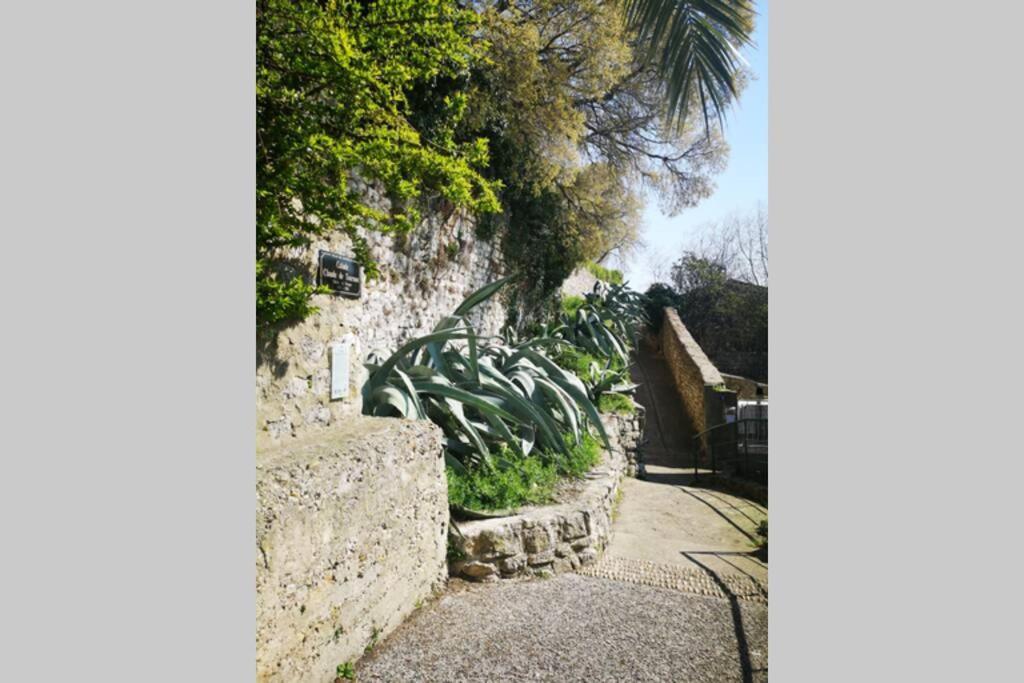 maison de village meublée avec terrasse Donzère Esterno foto