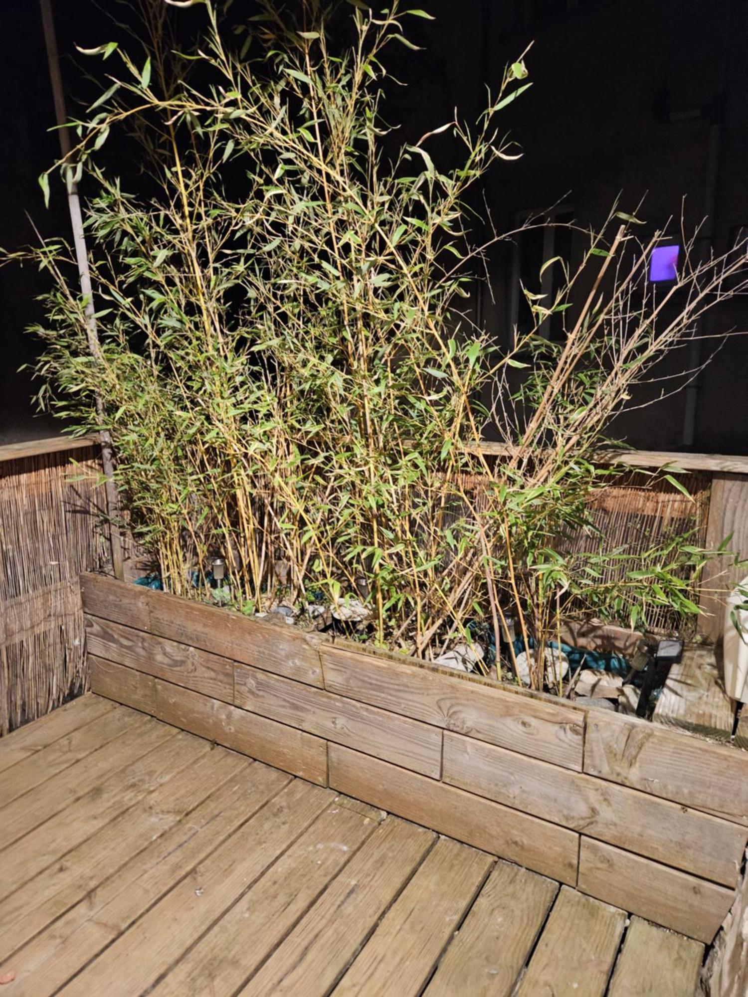 maison de village meublée avec terrasse Donzère Esterno foto